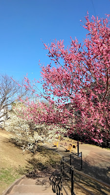 Yatojima Park 사진 5