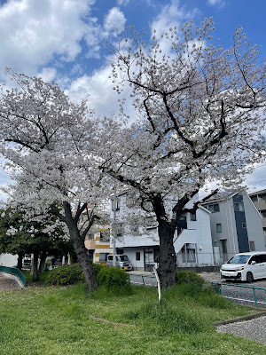 足立区立一ツ家第四公園（ローラー公園） 사진 4