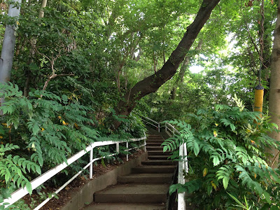 Sagamidai Park 사진 5