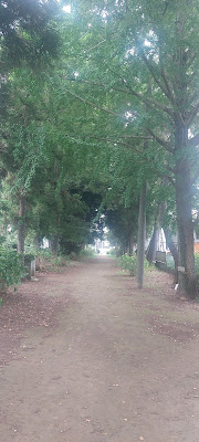 風早神社参道 사진 5