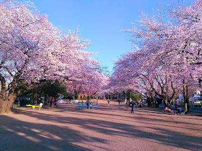 Kitaasaka Park 사진 5