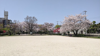 Namiki 4-chome Park 사진 5