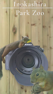 Squirrel Trail 사진 5