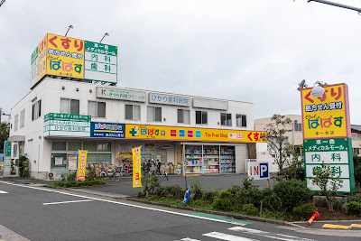 Papasu Honisshiki 사진 2