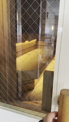 Sauna Hokuō 사진 5