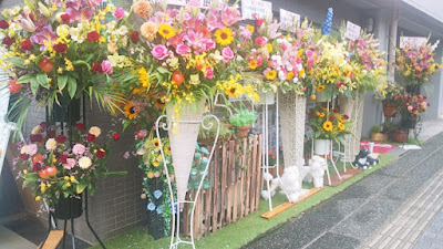 ぺっと美容室 いろは 사진 5