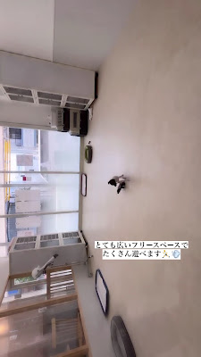 Pets Tokyo西大井店 사진 2