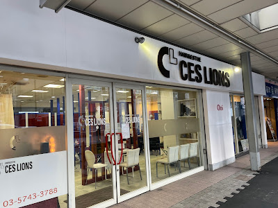 Ces lions 사진 3