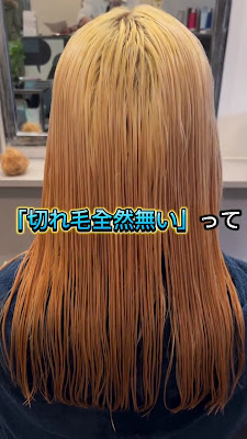 dog star Noborito / Kogaokayuen / Care Bleach / Kamishitsukaizen / Chijiregekyosei Hair Salon 사진 2