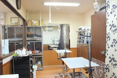 Pettosupa Komazawa Koen Ten 사진 5
