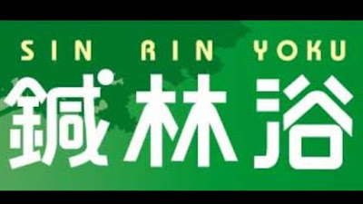 鍼林浴（しんりんよく） 사진 5