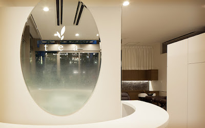 tea hair design 사진 4
