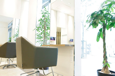 tea hair design 사진 5