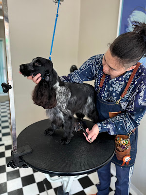 Doggy Spa Juno-Leon 사진 3