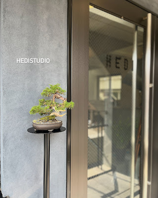 HEDI hair studio 사진 5