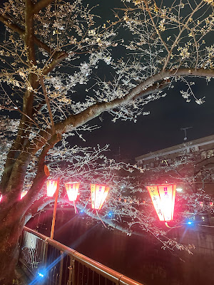 Hot Yoga Studio LAVA Nakameguro 사진 4