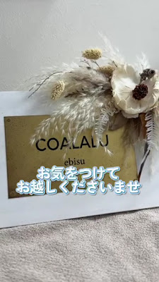 COALALU 사진 2