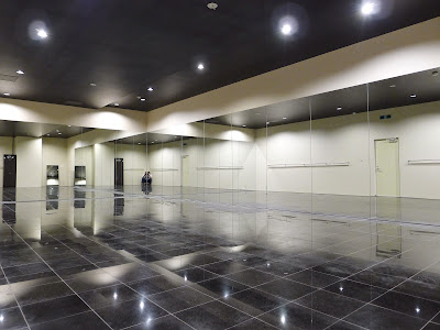 コラーゲン岩盤ホットヨガ®️ワヤンリゾートヨガ東京田町店 Hot Sauna Yoga 사진 4