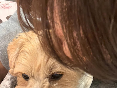 美肌室しずく 사진 5