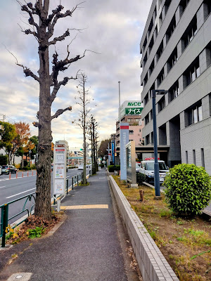 成城警察署前（バス） 사진 3