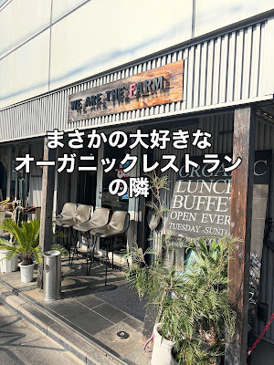 鍼とよもぎ。 사진 5