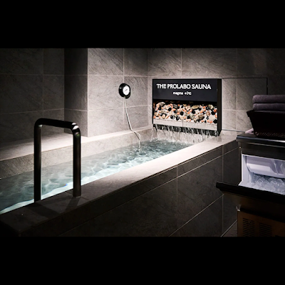 THE PROLABO SAUNA 사진 4