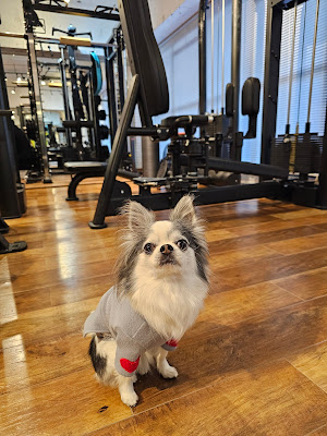 G.O.GYM 勝どき駅前店 사진 4