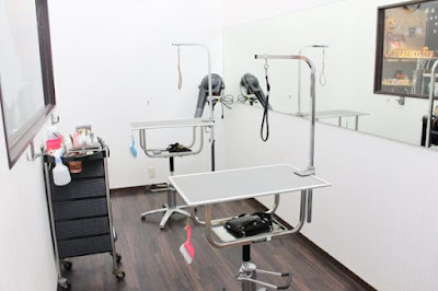 PET - SPA Chofusengawaten 사진 5