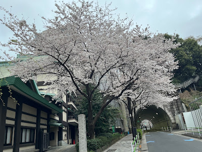 パーソナルジム かたぎり塾 下高井戸店 사진 4