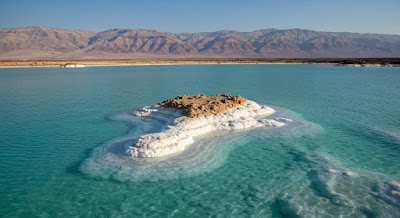 SALT SPA青山 사진 3