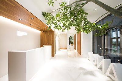 BIANCA Cosmetic Surgery & Medical Spa 사진 3