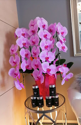 Sylphya〜ＦＬＯＲＡ銀座店〜 사진 4