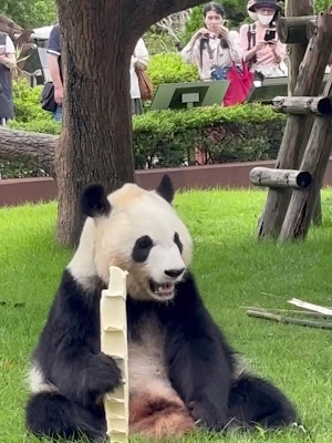 Grace 사진 2