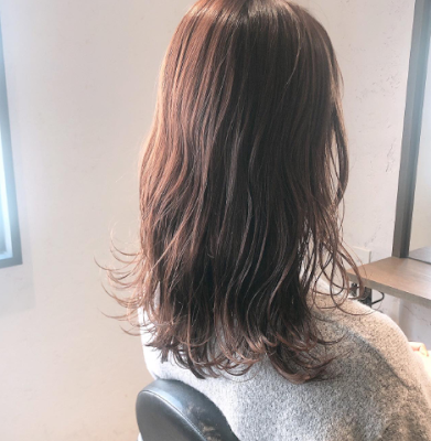Su 사진 4