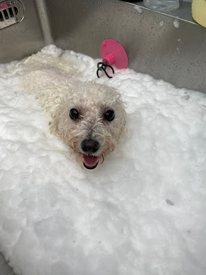 Jacuzzi Spa Lien 사진 4