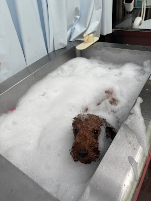 Jacuzzi Spa Lien 사진 3