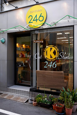 KINOSHITA GAIEN EAST STREET 246支店 사진 2
