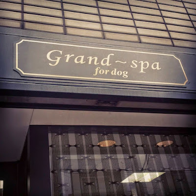 Grand~spa for dog 사진 2