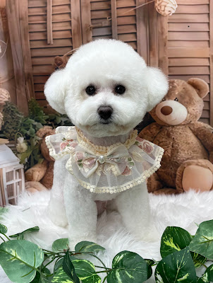 Queen’s Spa Lieto クイーンズスパリエット 사진 3