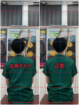 Pulmo Mitaka Acupuncture 사진 2