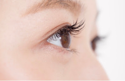 LAURA Eyelash/Eyebrow まつ毛アイブロウ 吉祥寺 三鷹 사진 3