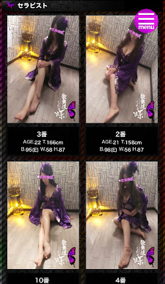 歌舞伎蝶 사진 3
