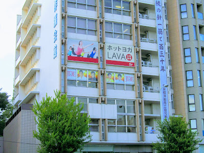 LAVA 사진 3