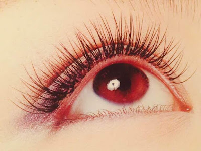 JUNO Eyelash Beauty&Healing 사진 2