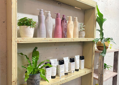 OPUS AMICA 사진 4