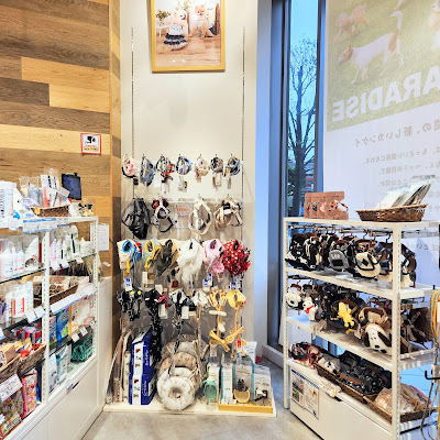 Pet Paradise 사진 4