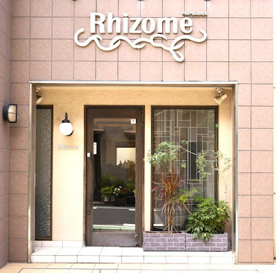 Rhizome 사진 2
