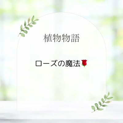 光のはね 사진 3