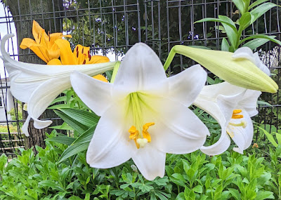 Curves 사진 5