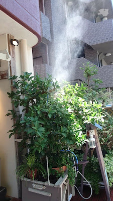 スニーカーズ 사진 3